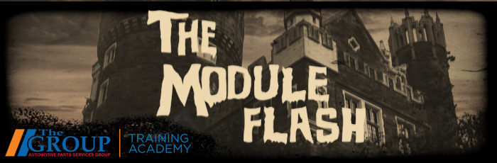 The Module Flash, Halloween, The Group Training