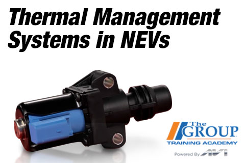 041324 Thermal Management Systems in NEVs