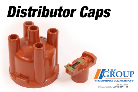 Distributor Caps