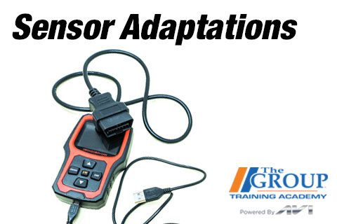 Sensor Adaptations