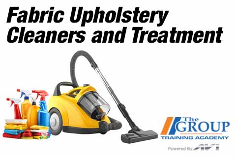 020725 Fabric Upholstery Cleaners and Treatment