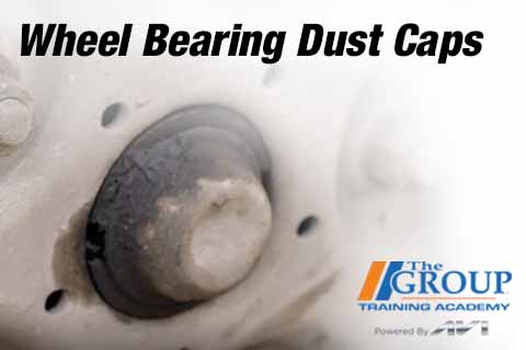 031125 Wheel Bearing Dust Caps
