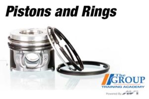 CM-050325 Pistons and Rings