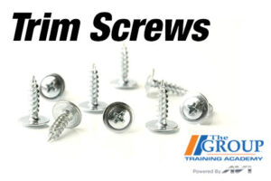 CM-060525 Trim Screws