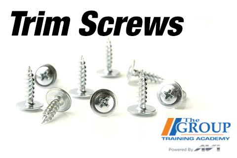 060525 Trim Screws