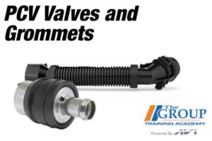 CM-110525 PCV Valves and Grommets