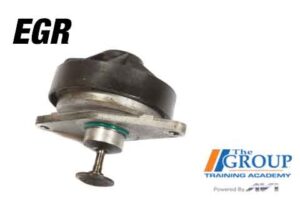 CM-010426 EGR