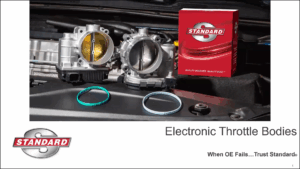 SMP-62 Electronic Throttle Bodies
