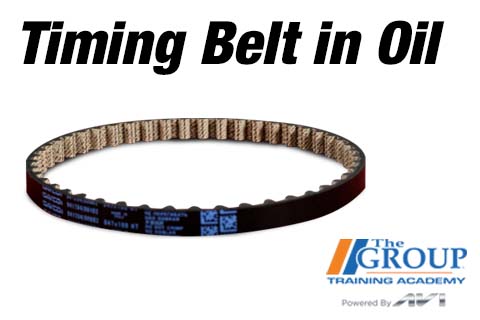020126 Timing Belt in Oil