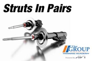 CM-020226 Struts In Pairs
