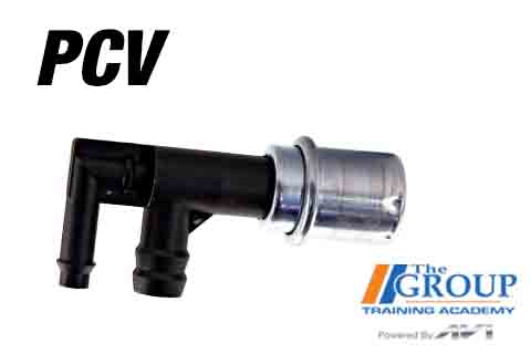 020426 PCV